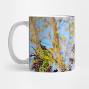 A Baltimore Oriole Perched On A Tree Mug